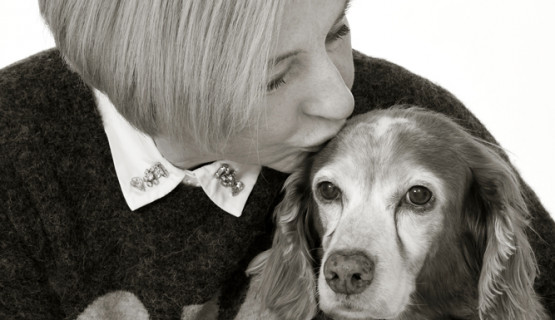 Hunde