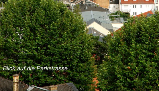 Bad Nauheim