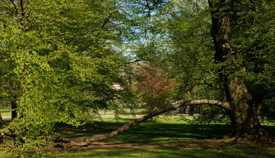 Bad Nauheim