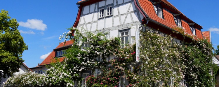 Cafe im Rosenmuseum