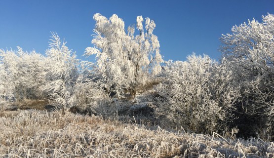 Winterlandschaft Kahlenberg
