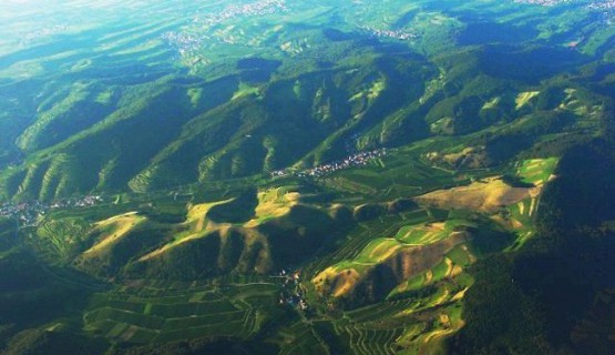 Vogtsburg - das Herz des Kaiserstuhls