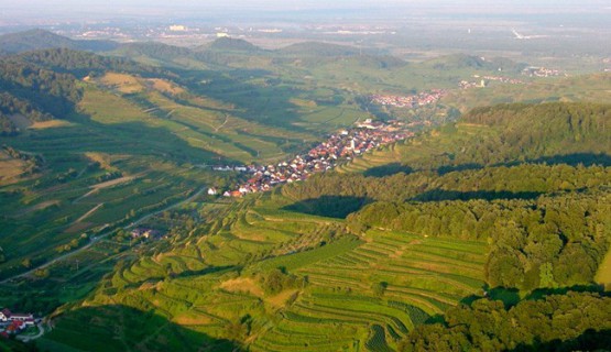 Vogtsburg - das Herz des Kaiserstuhls