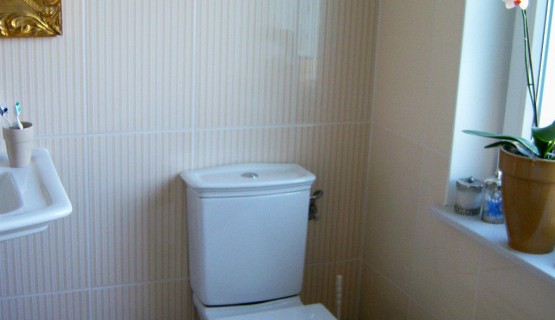 WC-Kombi klassich