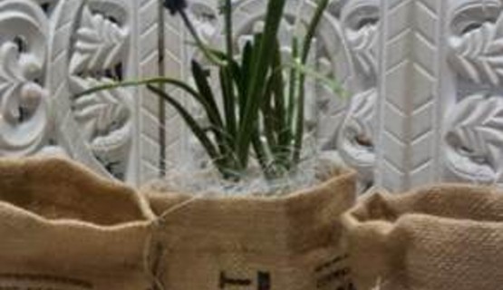 Jute-Pflanztopf (ohne Zubeh&ouml;r) nur &euro; 2,--