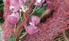 Blumengeschenke zum Muttertag