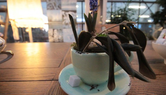 Gastrobereich - s&acute;Blumeh&auml;fele - Caf&eacute; 