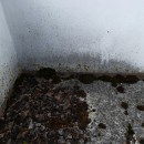 Terassenreinigung_vorher
