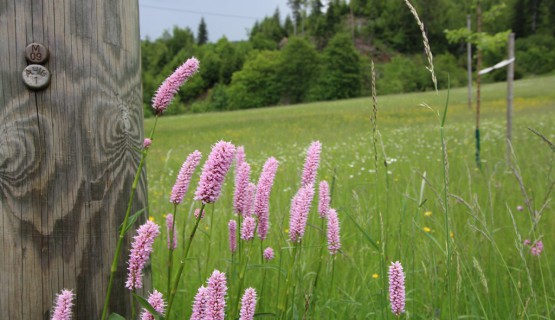 Impressionen