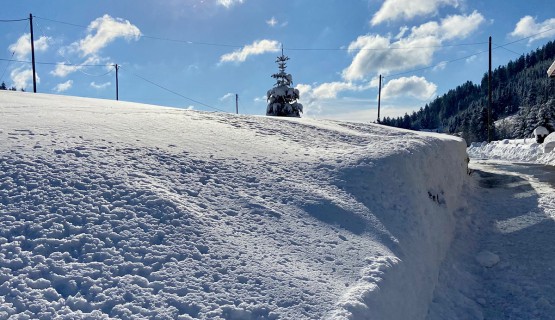 Winter Impressionen