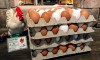 Frische Eier