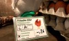 Frische Eier