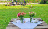 Picknickkonzert mit Jenk&ouml; - Kurpark &Ouml;ttenhofen
